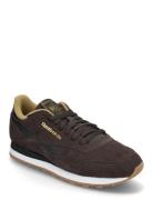 Classic Leather Sport Men Sport Shoes Sport Sneakers Sport Low Top Sneakers Brown Reebok Classics