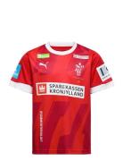 Dansk Håndbold Home Jersey Jr Sport T-Kortærmet Skjorte Red PUMA