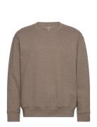 L/S Sweatshirt Tops Sweatshirts & Hoodies Sweatshirts Brown Calvin Klein