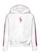 Striped Big Pony French Terry Hoodie Tops Sweatshirts & Hoodies Hoodies White Ralph Lauren Kids