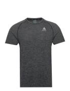 Odlo Essential Seamless T-Shirt Crew Neck S/S Sport T-Kortærmet Skjorte Grey Odlo