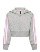 Jg 3S Ft Fz Cro Sport Sweatshirts & Hoodies Sweatshirts Grey Adidas Sportswear