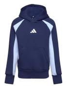 J Cb Fl Hd Sport Sweatshirts & Hoodies Hoodies Blue Adidas Sportswear