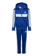 Lk 3S Tib Fl Ts Sport Tracksuits Blue Adidas Sportswear