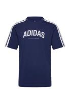 M C Colleg Tee Sport Men Sports Clothes Sport Tops Sport T-Skjorte Blue Adidas Sportswear