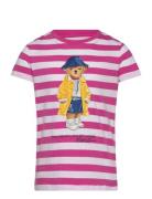 Striped Polo Bear Cotton Jersey Tee Tops T-Kortærmet Skjorte Pink Ralph Lauren Kids