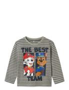 Nmmjasper Paw Ls Nreg Top Cplg Tops T-shirts Long-sleeved T-Skjorte Grey Name It