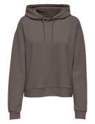 Onplounge Life Hood Ls Swt Noos Sport Sweatshirts & Hoodies Hoodies Grey Only Play