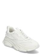 Possess Sneaker Low-top Sneakers White Steve Madden