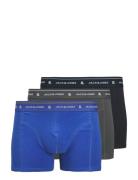 Jacron Solid Trunks 3 Pack Jnr Night & Underwear Underwear Underpants Blue Jack & J S