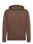 Hco. Guys Sweatshirts Tops Sweatshirts & Hoodies Hoodies Brown Hollister