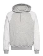 Hco. Guys Sweatshirts Tops Sweatshirts & Hoodies Hoodies Grey Hollister