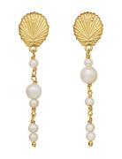 Marylyn Earrings Ørestickere Smykker Gold Maanesten