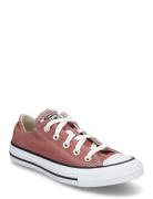 Ctas Ox Light Saddle Sport Sport Shoes Sport Sneakers Sport Low Top Sneakers Pink Converse