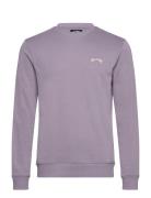 Arch Cr Lt Sport Men Sport Clothing Sport Sweatshirts & Hoodies Sport Sweatshirts Purple Billabong