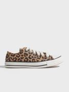 Converse - Sneakers - BLACK/EGRET/TAWNY OWL - Chuck Taylor All Star Leopard - Sneakers