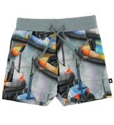 Molo Shorts - Simroy - Bumper Car