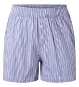 Hound Shorts - Light Blue Stripet