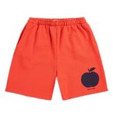 Bobo Choses Shorts - Bermuda - Red