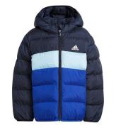 adidas Performance Dynejakke - BlÃ¥/Navy