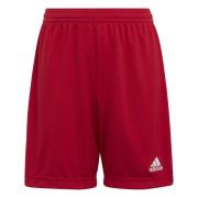 adidas Shorts Entrada 22 - Rød Børn